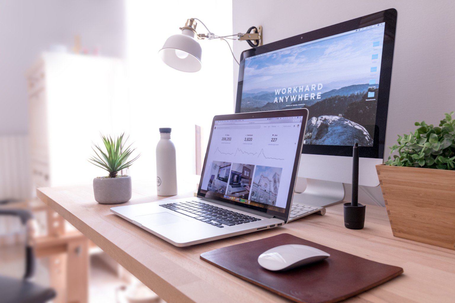 SEO analytics and digital growth planning